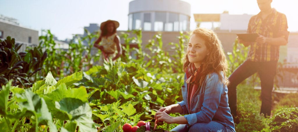 cofidis-france-jardin-de-cocagne